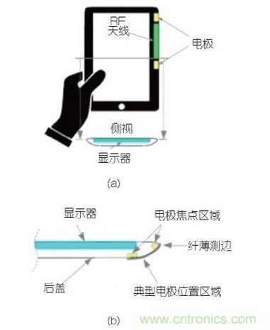 (a)側(cè)剖視圖描述；(b)電極焦點(diǎn)區(qū)域描述