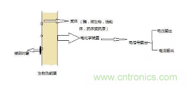 仿生傳感器的定義、原理、分類及應(yīng)用